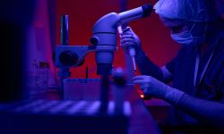 باحثون يكتشفون وجود حالة بيولوجية ثالثة بعد الحياة والموت